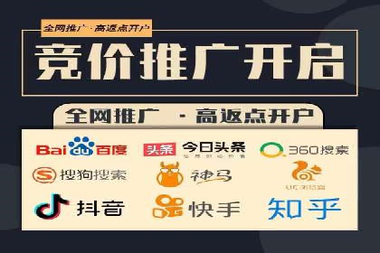 案例研究：SEM推广助力企业业绩增长